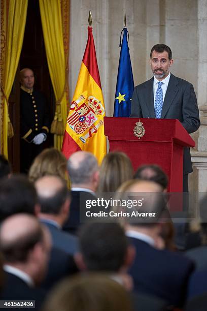 King Felipe VI of Spain attends the Investigation National Awards 2014 at the Royal Palace on January 15, 2015 in Madrid, Spain.