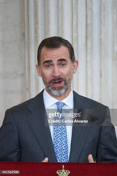 King Felipe VI of Spain attends the Investigation National Awards 2014 at the Royal Palace on January 15, 2015 in Madrid, Spain.