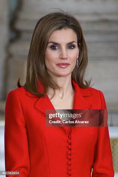 Queen Letizia of Spain attends the Investigation National Awards 2014 at the Royal Palace on January 15, 2015 in Madrid, Spain.