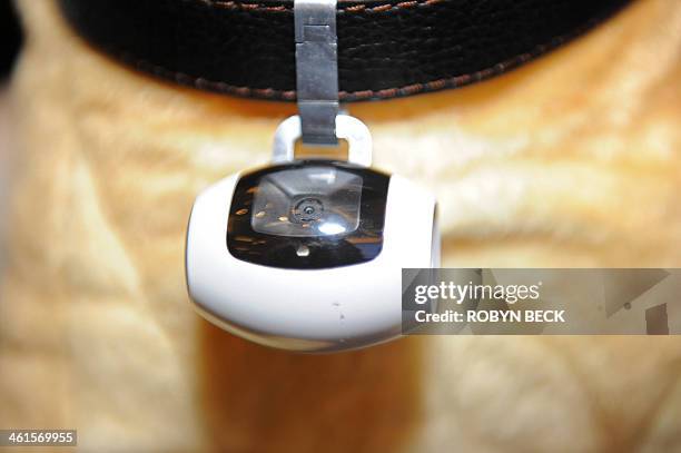 Stuffed animal dog wears the PawsCam camera for pets, at the 2014 International CES, January 9, 2014 in Las Vegas, Nevada. The waterproof, two...