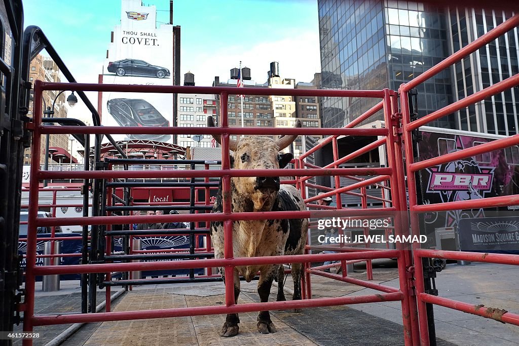 RODEO-US-PBR-BULL RIDING