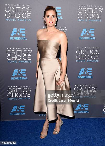 Actress Amy Adams attends the 20th annual Critics' Choice Movie Awards at the Hollywood Palladium on January 15, 2015 in Los Angeles, California.