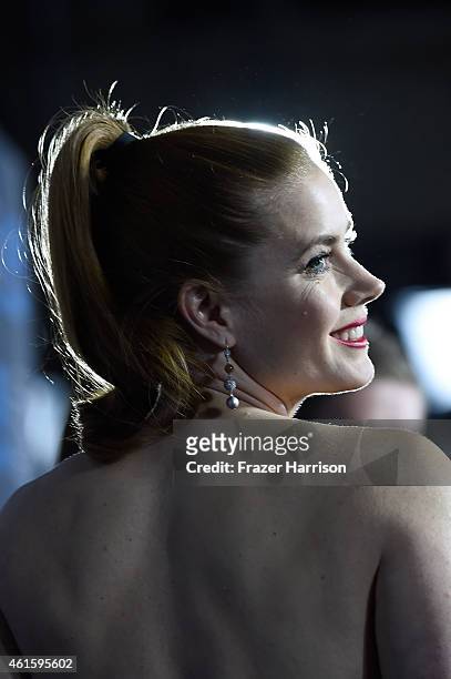 Actress Amy Adams attends the 20th annual Critics' Choice Movie Awards at the Hollywood Palladium on January 15, 2015 in Los Angeles, California.