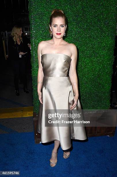 Actress Amy Adams attends the 20th annual Critics' Choice Movie Awards at the Hollywood Palladium on January 15, 2015 in Los Angeles, California.