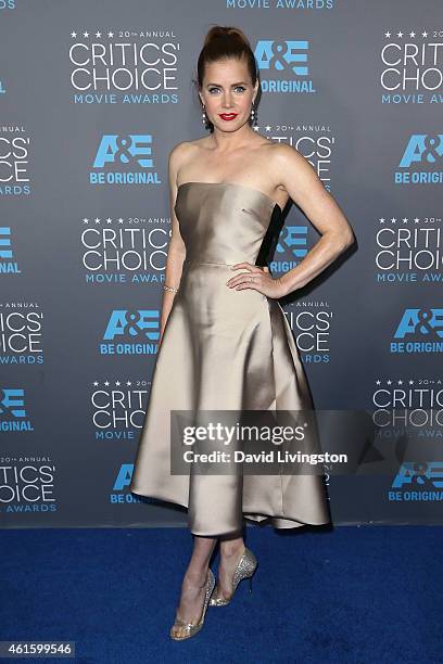 Actress Amy Adams attends the 20th Annual Critics' Choice Movie Awards at the Palladium on January 15, 2015 in Los Angeles, California.