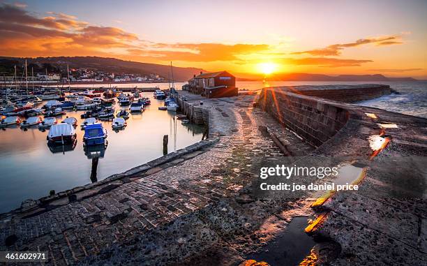 the cobb, lyme regis, dorset, england - lyme regis photos et images de collection