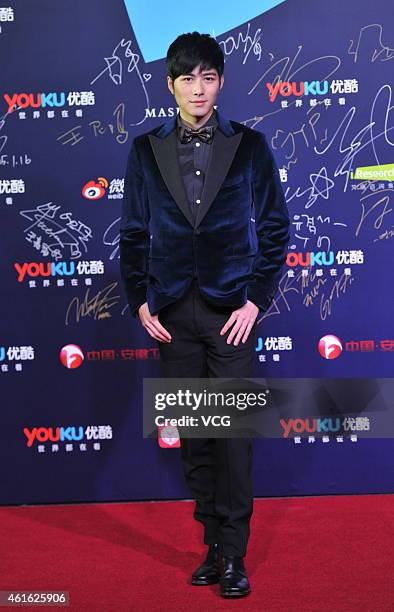 Actor and model Cheney Chen attends the "2014 Youku Night" at National Aquatics Center on January 16, 2015 in Beijing, China.