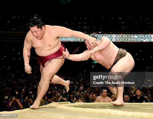 Mongolian yokozuna Hakuho pushes Endo out of the ring to win during day six of the Grand Sumo New Year tournament at Ryogoku Kokugikan on January 16,...