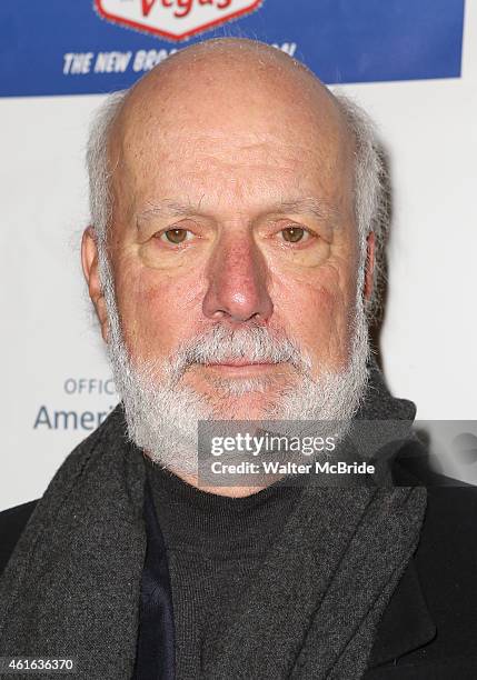 William Burrows attends the Broadway Opening Night Performance of 'Honeymoon in Vegas' at the Nederlander Theatre on January 15, 2014 in New York...