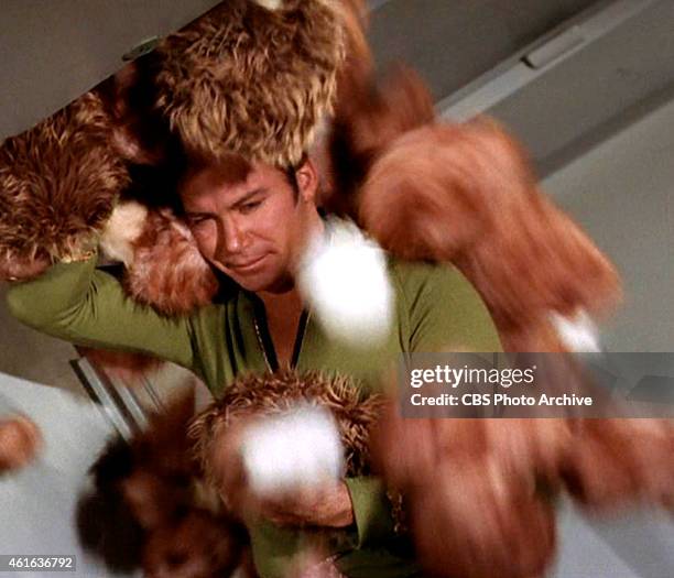 Star Trek the Original Series Season 2 Episode 15 " The Trouble With Tribbles " Pictured: William Shatner as Captain James T. Kirk being burried by...