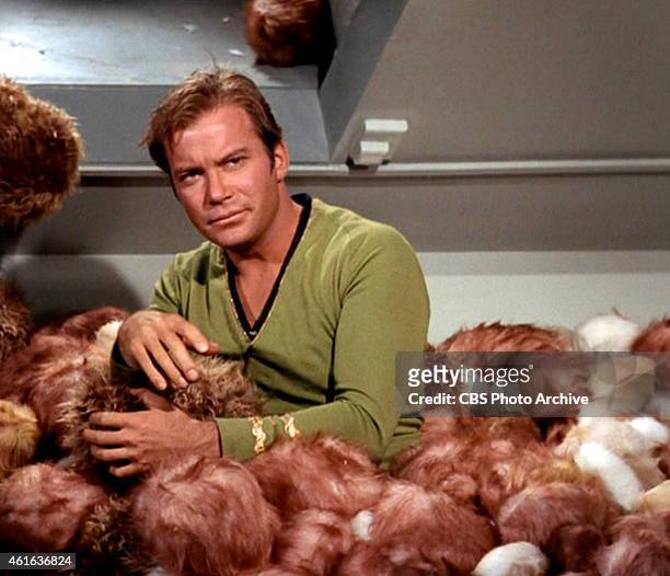 Star Trek the Original Series Season 2 Episode 15 " The Trouble With Tribbles " Pictured: William Shatner as Captain James T. Kirk burried in...