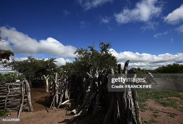 Slovak KTM rider Stefan Svitko competes during the Stage 12 of the 2015 Dakar Rally between Termas de Rio Hondo and Rosario, Argentina, on January...