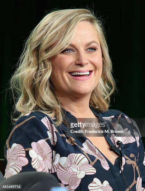 Actress Amy Poehler speaks onstage during the 'Parks and Recreation' panel discussion at the NBC/Universal portion of the 2015 Winter TCA Tour at the...
