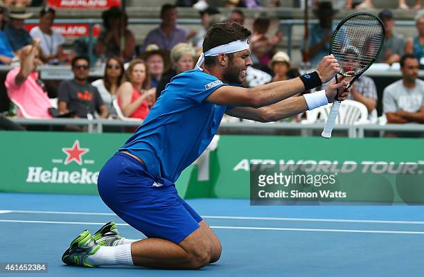 Jiri Vesely of the Czech Republic celebrates winning his singles final match against Adrian Mannarino of France during day seven of the 2015 Heineken...