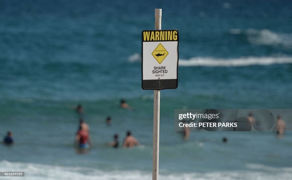 AUSTRALIA-ANIMAL-SHARK