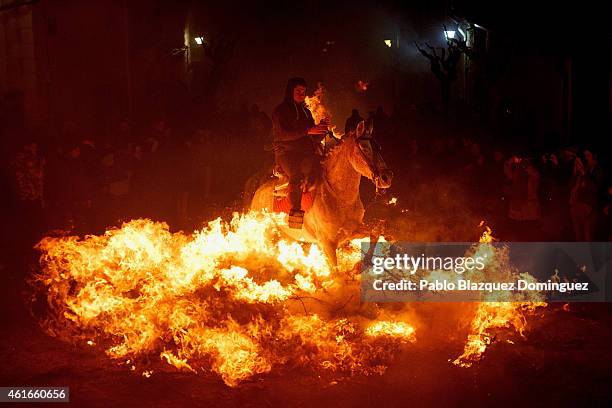 Man rides a horse through a bonfire during 'Las Luminarias' Festival on January 16, 2015 in San Bartolome de Pinares, Spain. In honor of Saint Antony...