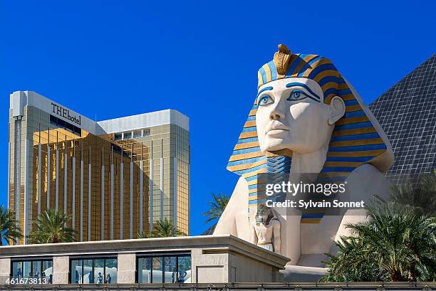 sphinx replica front of luxor hotel and casino. - las vegas pyramid hotel stock pictures, royalty-free photos & images