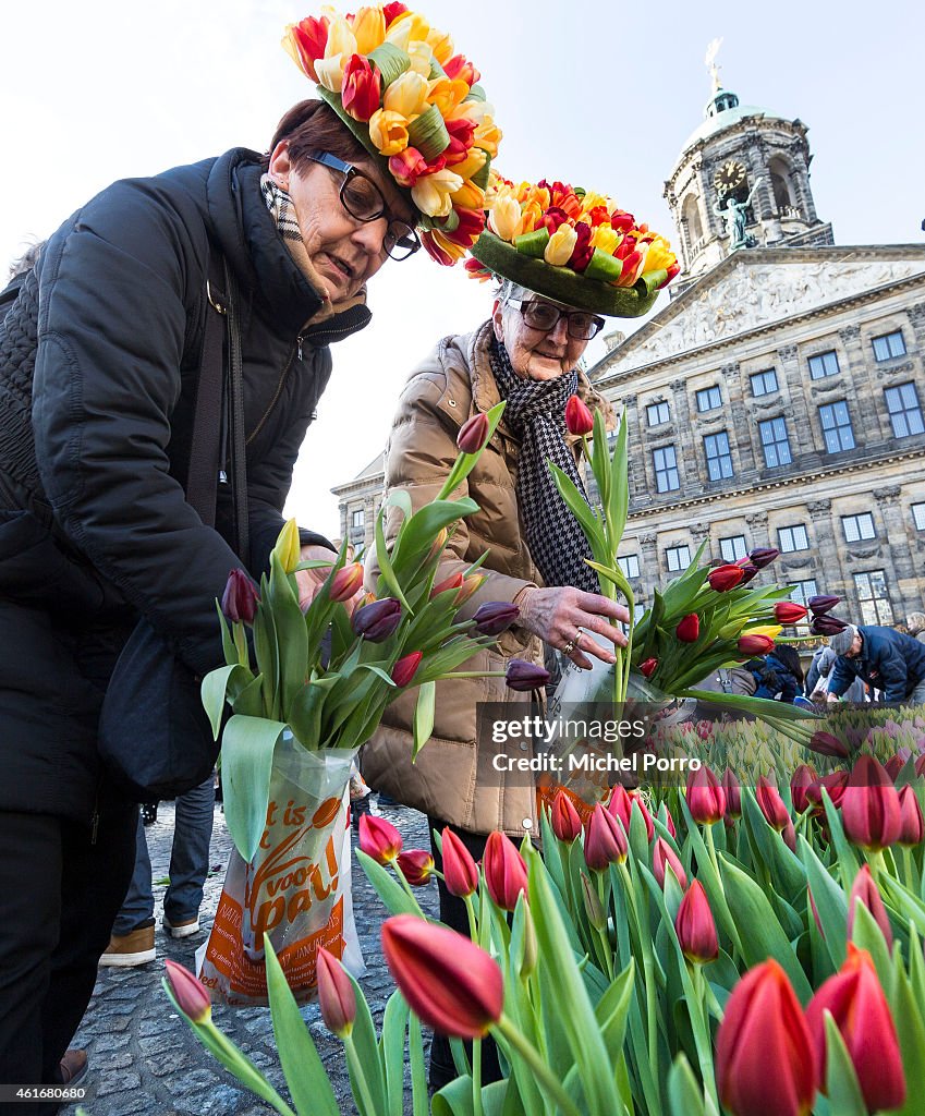 Dutch National Tulip Day Kicks Off Tulip Season 2015