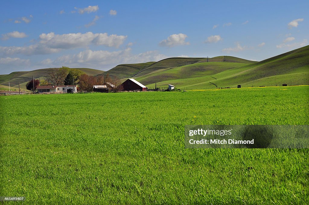 Scenic green countryside