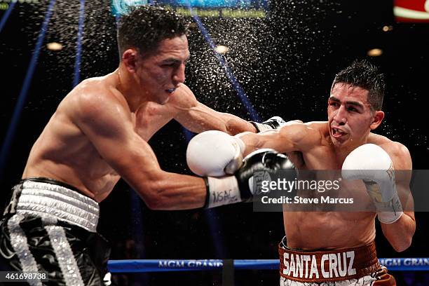 Super bantamweight champion Leo Santa Cruz connects on Jesus Ruiz during their title fight at the MGM Grand Garden Arena on January 17, 2015 in Las...