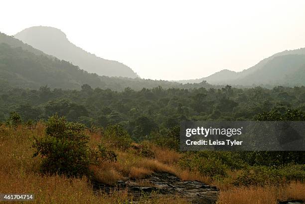 Bandhavgarh National Park - the former home of the Royal family of Rawa - is now a tiger sanctuary with the highest concentrations of tigers in...