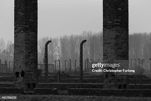 Chimneys are all that remain of detention blocks destroyed by the SS at the end of WWII at the Auschwitz II Birkenau extermination camp on November...