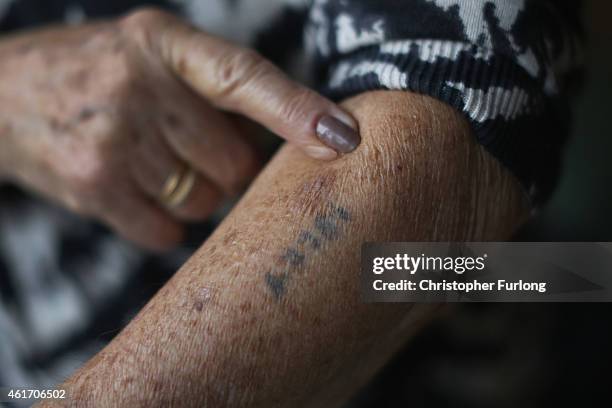 Auschwitz and Belsen concentration camp survivor Eva Behar shows her number tattoo in her home on December 1, 2014 in London, United Kingdom. As the...