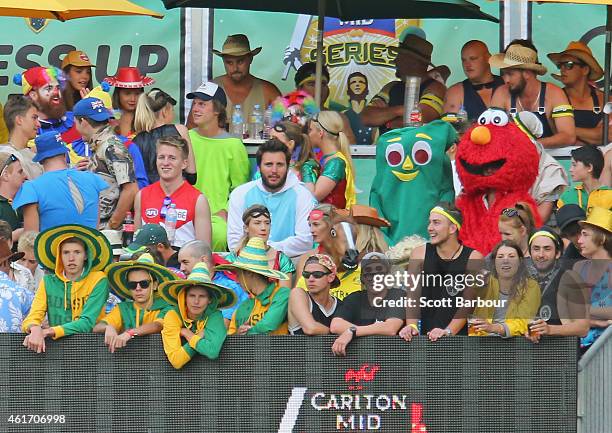 Spectators in fancy dress including Elmo and Gumby watch the match from the crowd during the One Day International match between Australia and India...