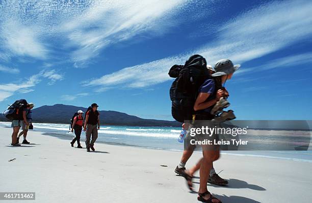 Guests on the Maria Island Walk traverse one of the most southern beaches of Maria Island to their night's camp. The latest trend on the Tasmanian...