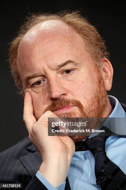 Creator/writer/actor Louis C.K. Speaks onstage during the 'Louie' panel discussion at the FX Networks portion of the Television Critics Association...