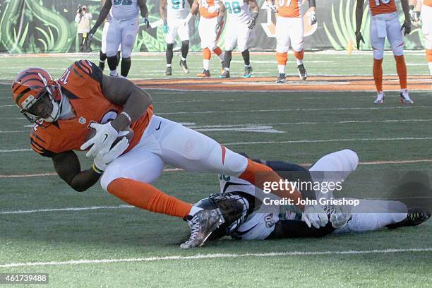 Marvin Jones of the Cincinnati Bengals hauls in the football against Sherrod Martin of the Jacksonville Jaguars during their game at Paul Brown...