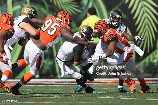 Wallace Gilberry and Emmanuel Lamur of the Cincinnati Bengals tackles Blake Bortles of the Jacksonville Jaguars during their game at Paul Brown...