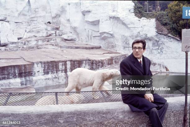 Italian singer-songwriter and stand-up comedian Enzo Jannacci sits on the edge of the cage of the polar bear, of which can be seen two little...