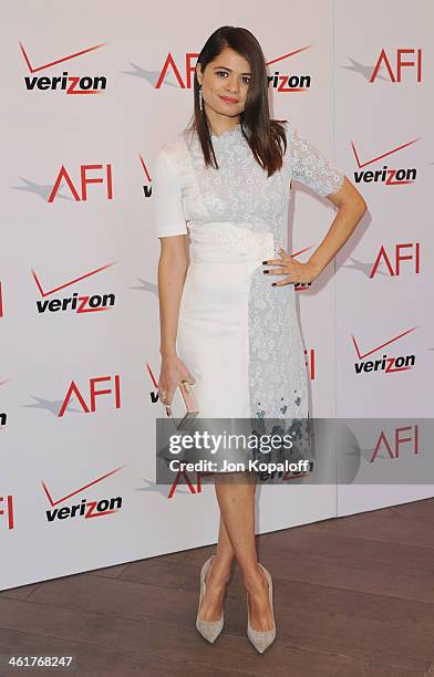 Actress Melonie Diaz arrives at the 14th Annual AFI Awards at Four Seasons Hotel Los Angeles at Beverly Hills on January 10, 2014 in Beverly Hills,...