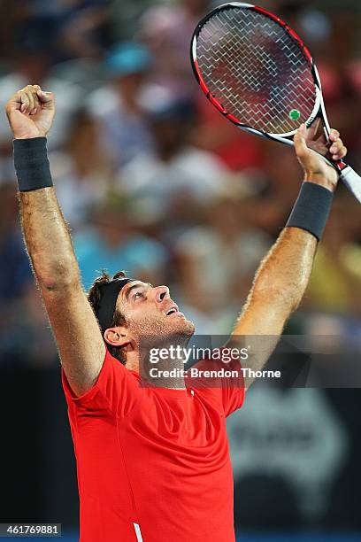 Juan Martin Del Potro of Argentina celebrates championship point after winning the mens singles final against Bernard Tomic of Australia during day...