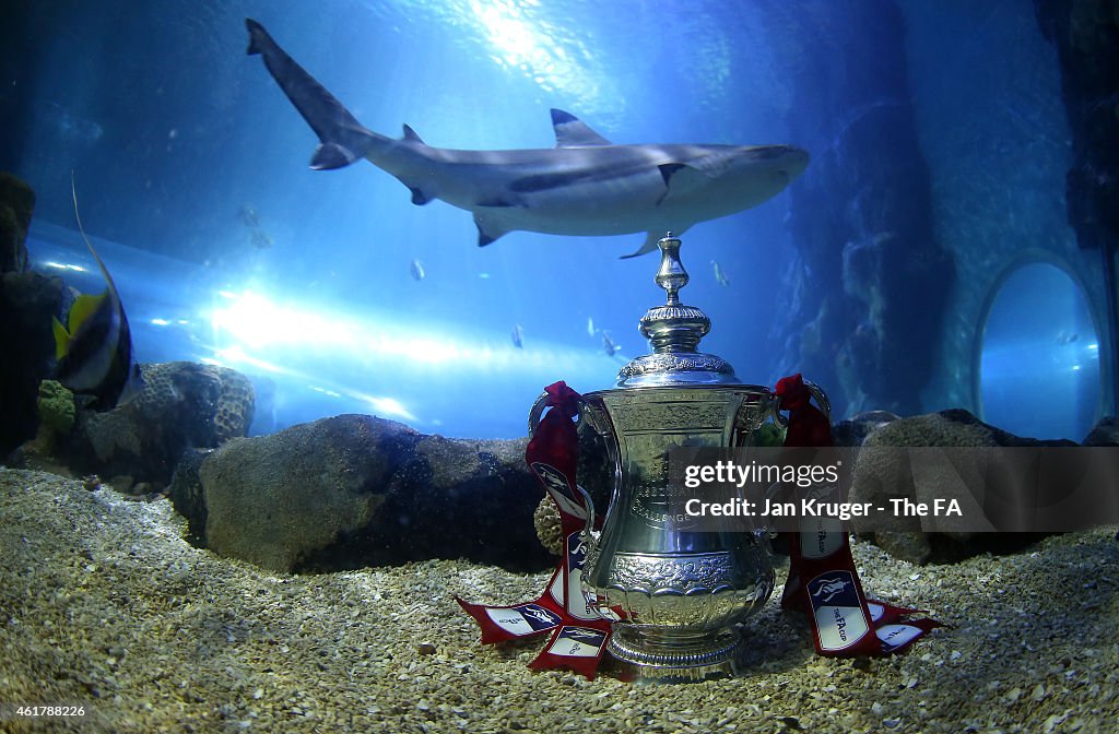 FA Cup Adventure - Birmingham