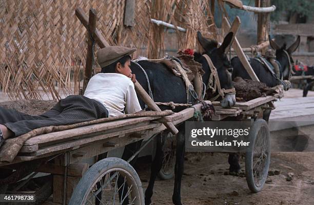 Boy and his cart at the Kashgar Sunday Bazaar. This weekly market on the outskirts of the old Silk Road town of Kashgar has been the largest market...