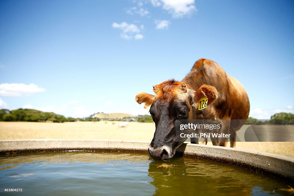 New Zealand Faces Potential Drought