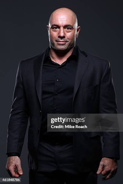 Play-by-play broadcaster Joe Rogan poses for a portrait backstage during the UFC Fight Night event at the TD Garden on January 18, 2015 in Boston,...