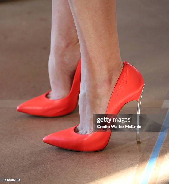 Elisabeth Moss attends the 'The Heidi Chronicles' Media Day at the Baryshinkov Arts Center on January 20, 2015 in New York City.