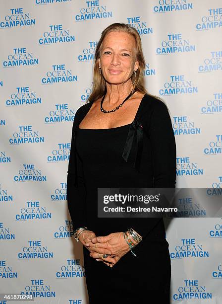 President and Director of the Cetacean Research and Conservation Nan Hauser attends The Ocean Campaign Launch Gala at Capitale on January 20, 2015 in...