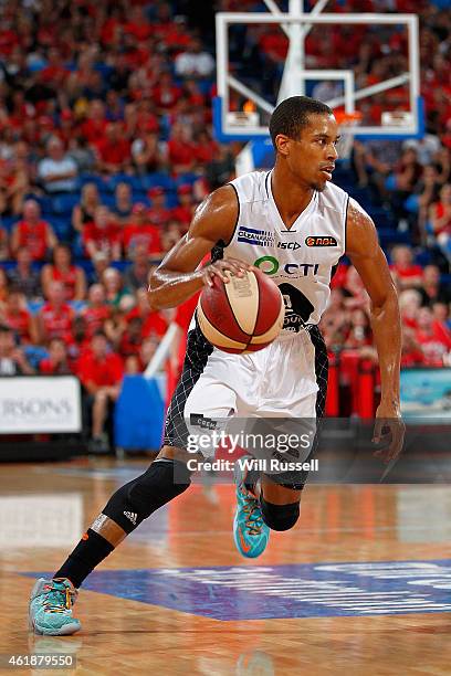 Stephen Dennis of United dribbles the ball during the round 15 NBL match between the Perth Wildcats and Melbourne United at Perth Arena on January...