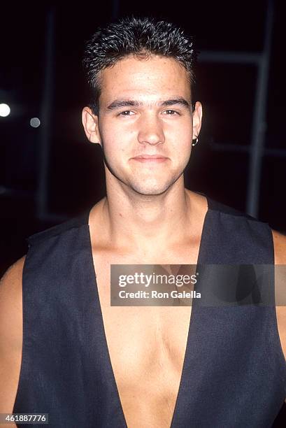 Renassiance Photos and Premium High Res Pictures - Getty Images