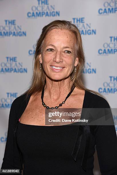 Nan Hauser attends The Ocean Campaign Launch Gala at Capitale on January 20, 2015 in New York City.