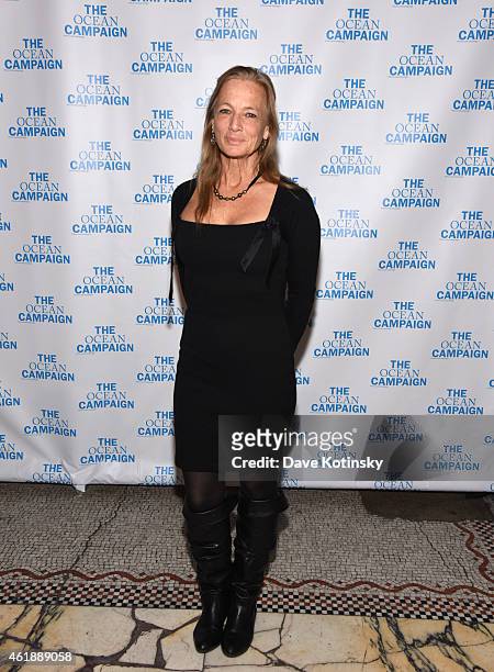 Nan Hauser attends The Ocean Campaign Launch Gala at Capitale on January 20, 2015 in New York City.
