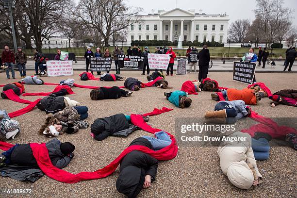 Anti-abortion advocates stage a 'die-in' protest at Lafayette Square near the White House January 21, 2015 in Washington, DC. In a written statement...