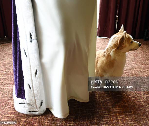 Cindy Savioli as Queen Elizabeth II with her Pembroke Welsh Corgi attend the 139th Annual Westminster Kennel Club Dog Show press conference on...