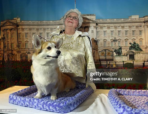 Cindy Savioli as Queen Elizabeth II with her Pembroke Welsh Corgi attend the 139th Annual Westminster Kennel Club Dog Show press conference on...