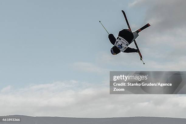 Fabian Boesch of Switzerland takes 1st place during the FIS Freestyle Ski World Championships Men's and Women's Slopestyle on January 21, 2015 in...