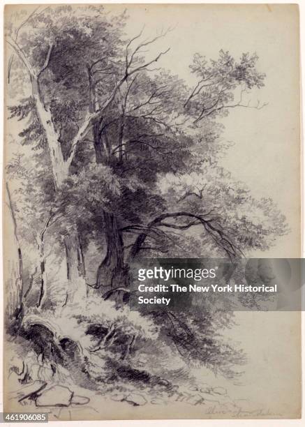 Drawing for a study of Trees, Shandaken/Olive, New York, 1852.